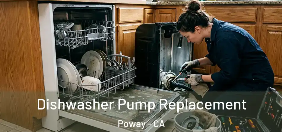  Dishwasher Pump Replacement Poway - CA