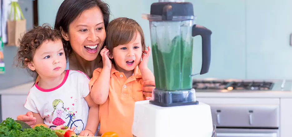 Juicer and Mixer Blender Repair in Poway